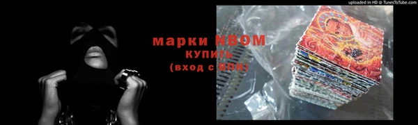 СК Алексин
