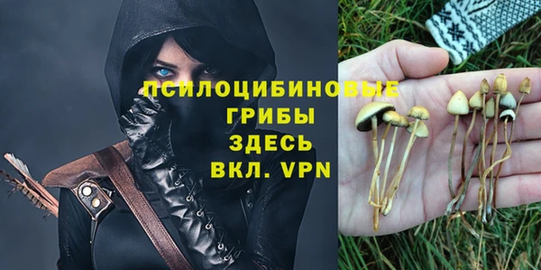 СК Алексин