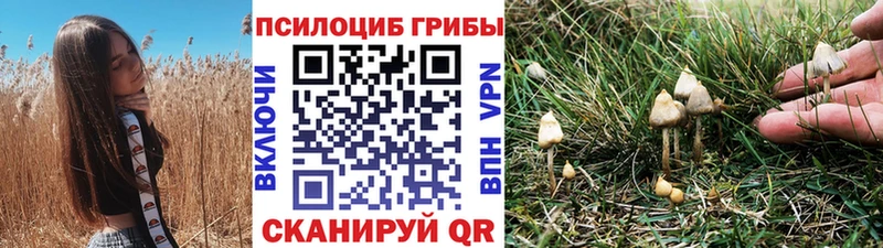 Псилоцибиновые грибы мухоморы  Кемерово 